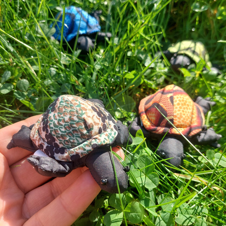 zanddier mini schildpad op hand en in gras