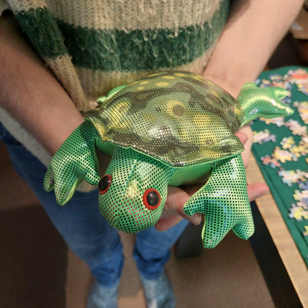 schildpad zanddier op hand