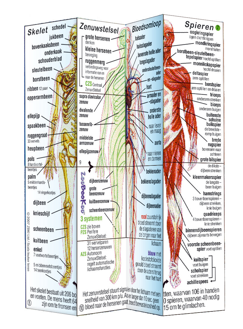 Scala leuker leren Kubusboek menselijk lichaam