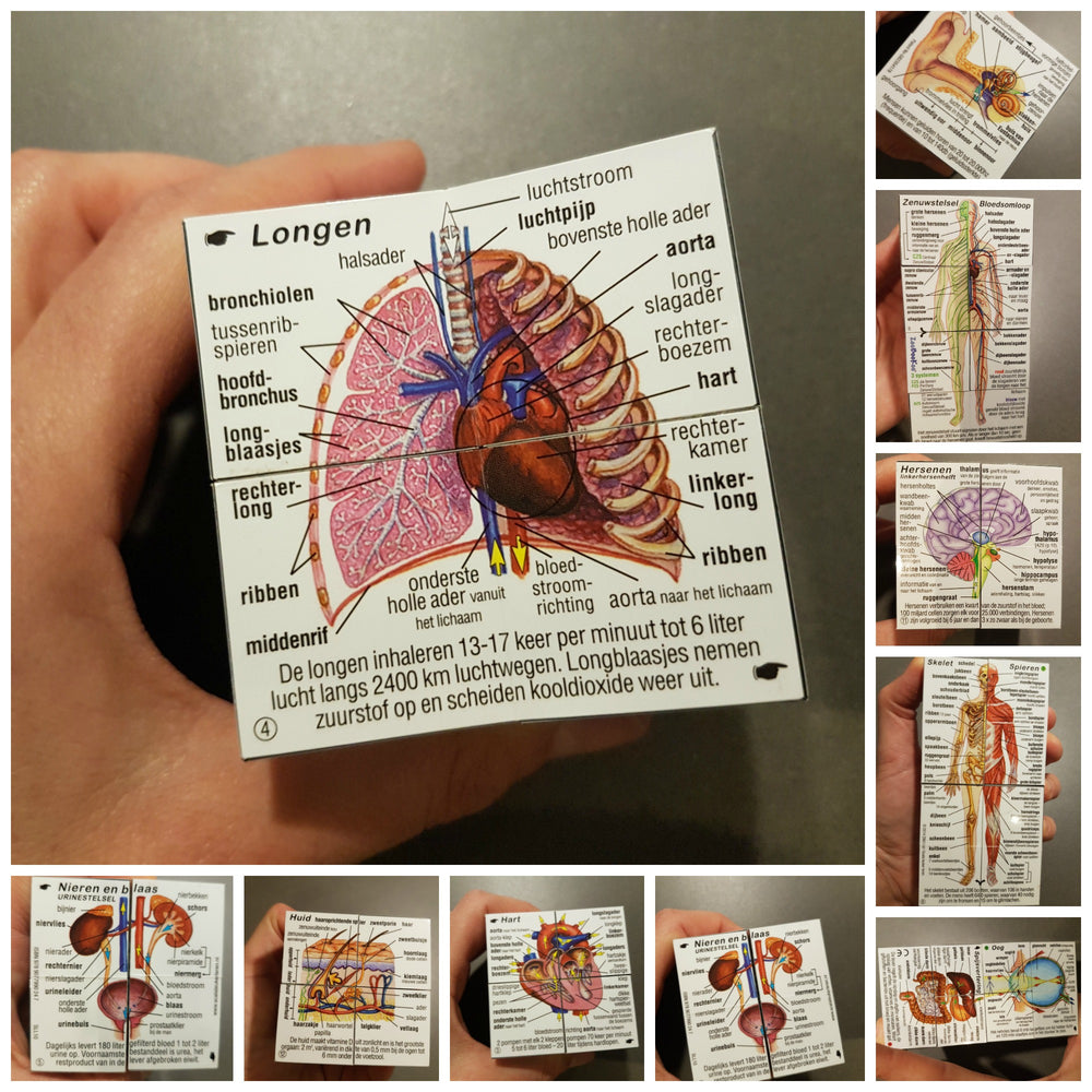 Scala leuker leren Kubusboek menselijk lichaam