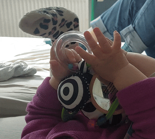 Wimmer Ferguson geluid & visueel, zwart wit babyspeelgoed, slechtziende
